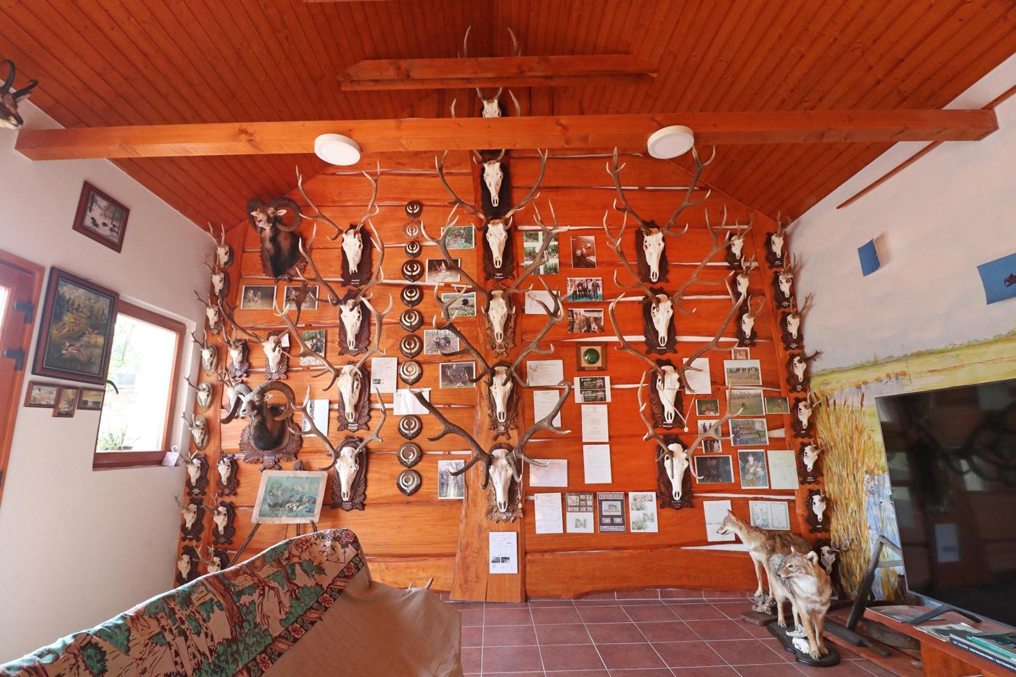 Fuezesi Papa Vendeghaza Hotel Harta Buitenkant foto