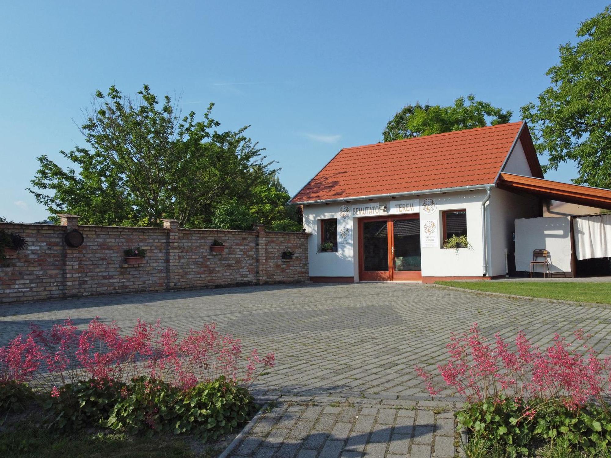 Fuezesi Papa Vendeghaza Hotel Harta Buitenkant foto